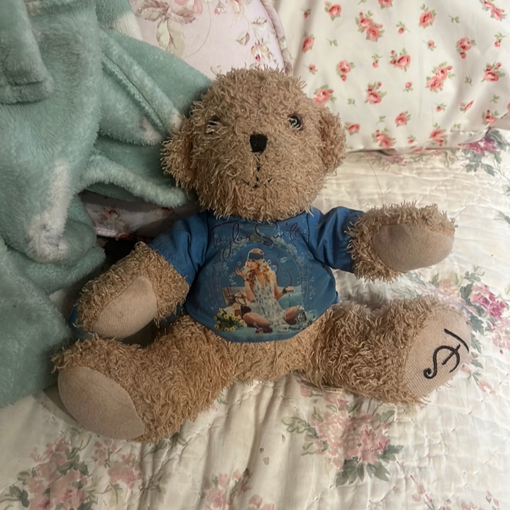 Taylor Swift 2010 Fearless Teddy Bear  - RARE